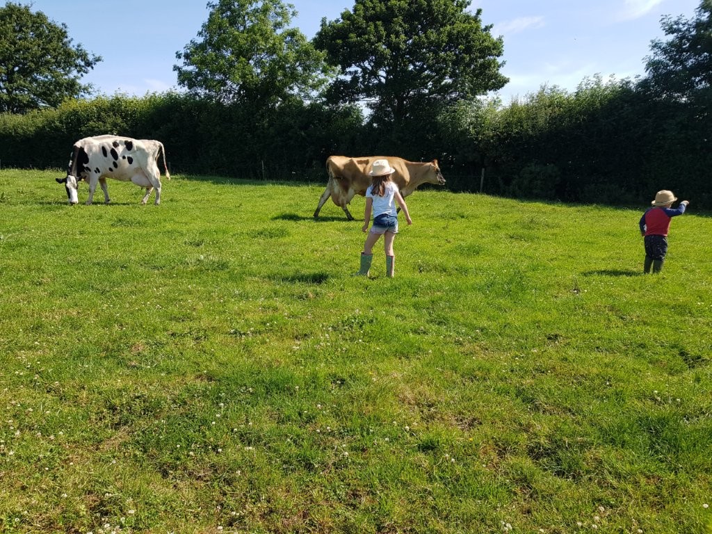 Farm life