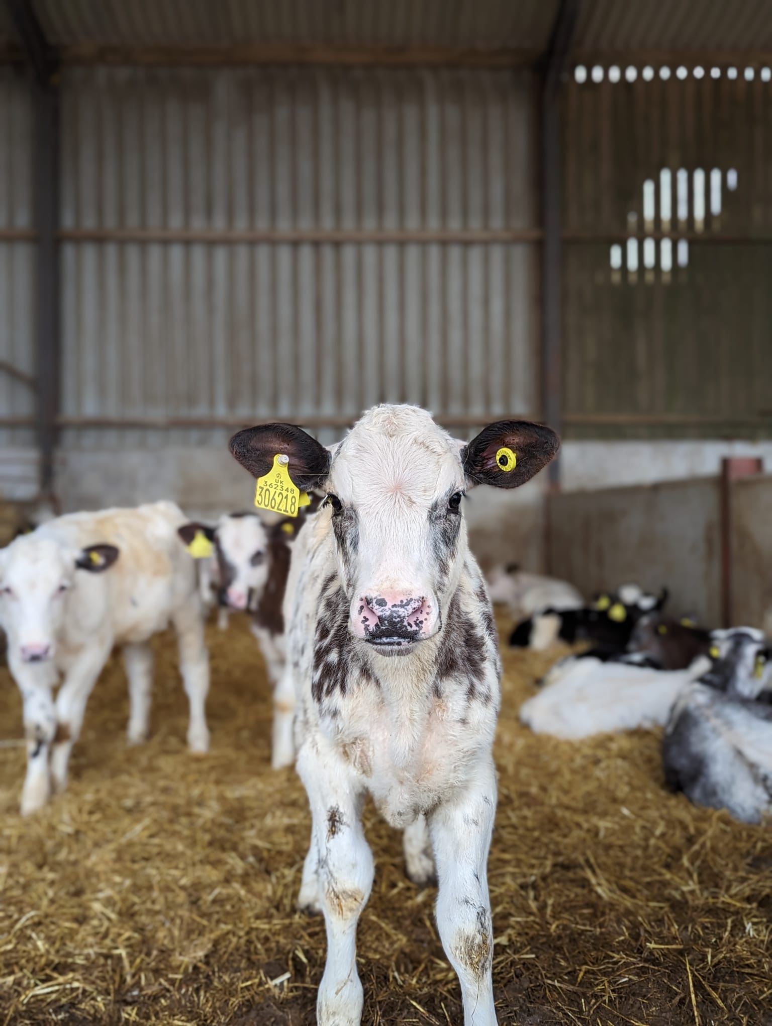Sustainable farming practices