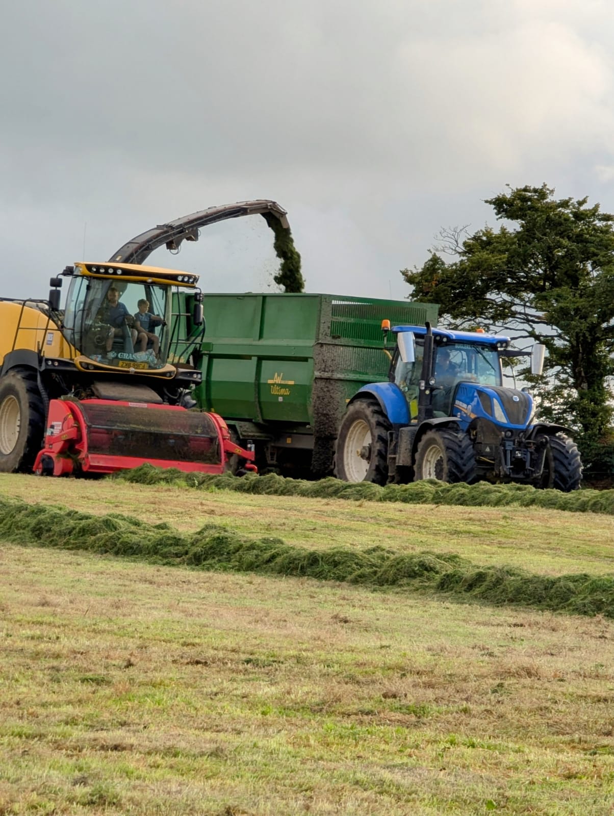 Family farming at East Browns